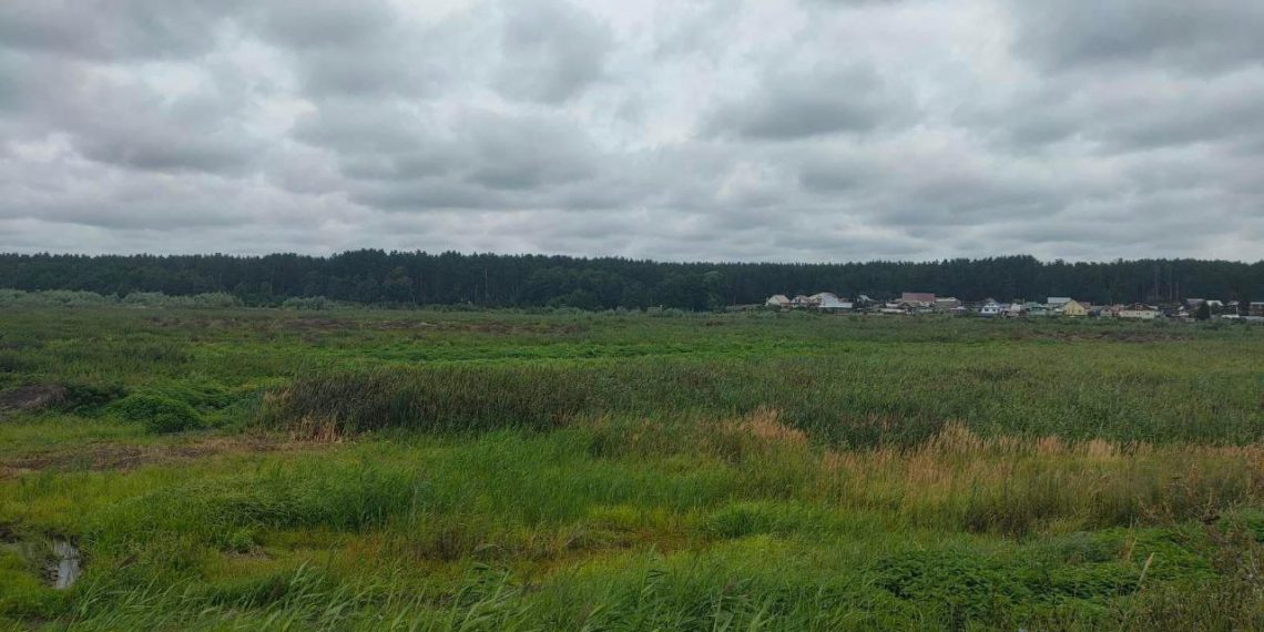 Новое производство в Мулловке: как защитят пруд Красотка