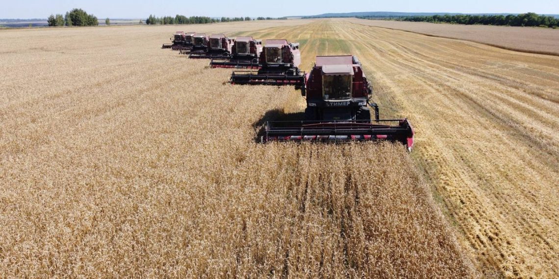 Техника, элеваторы, планы: как Ульяновская область готовится к уборочной