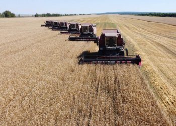 Техника, элеваторы, планы: как Ульяновская область готовится к уборочной