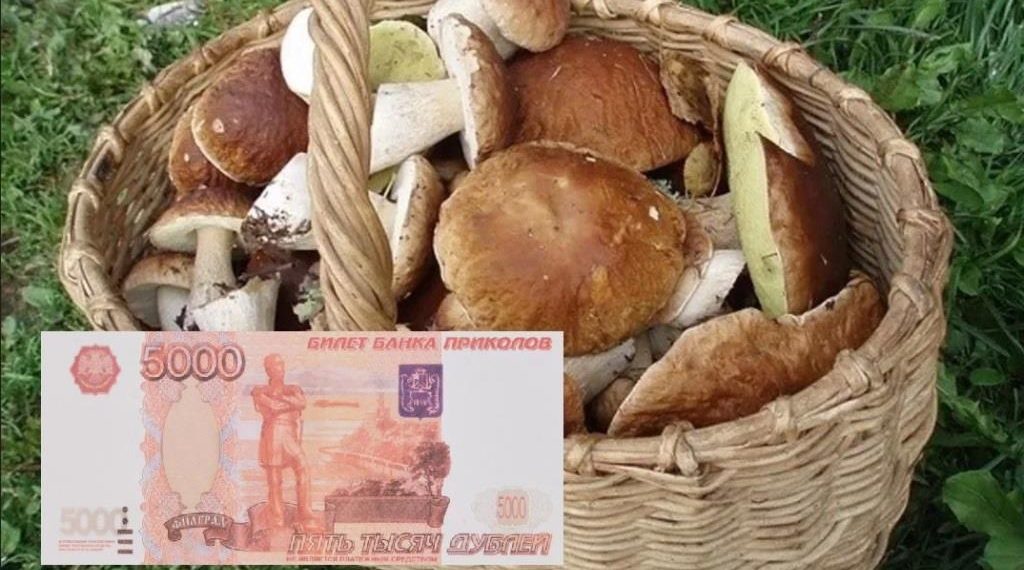 Ульяновец прикололся над продавщицей грибов и рискует получить за это уголовную статью