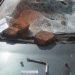В Димитровграде мужчина топором и кирпичами разгромил «Приору» соседа по гаражу