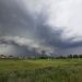 Ульяновск готовится к удару стихии: усилены меры безопасности