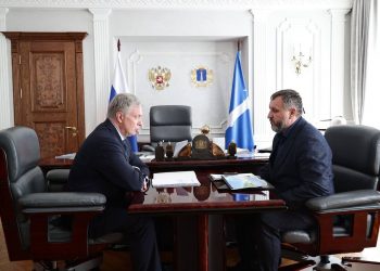 Русских и Наумов поговорили о том, что делать с Ульяновским районом