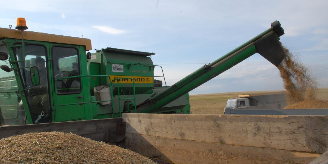 Ульяновские аграрии намолотили полмиллиона тонн зерна