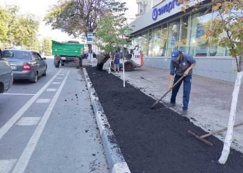 4 тонны плодородной земли: зачем в восьмой раз завезли чернозём на Гончарова