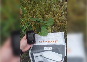 Опасный паразит обнаружен под Ульяновском: введен карантин на 910 га