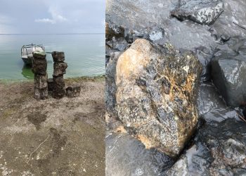 Ундоровский музей получил в дар окаменелый ствол дерева возрастом 120 млн лет