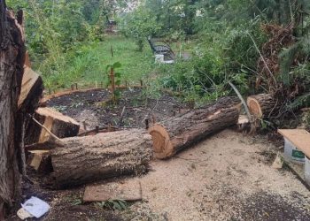 32 инцидента за ночь: как Ульяновск справляется с последствиями стихии