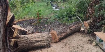 32 инцидента за ночь: как Ульяновск справляется с последствиями стихии