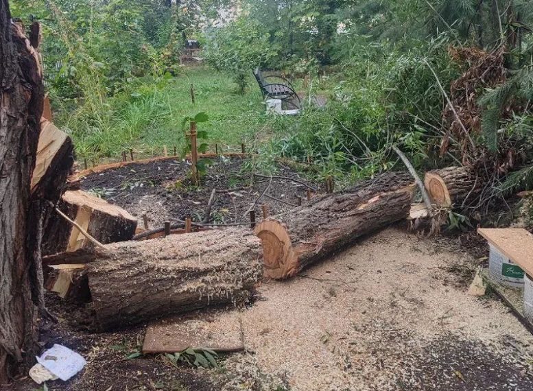 32 инцидента за ночь: как Ульяновск справляется с последствиями стихии