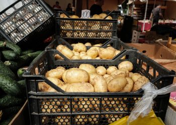 В Ульяновской области зафиксирована продовольственная дефляция