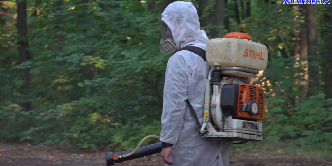 В Ульяновске борются со второй волной активности клещей