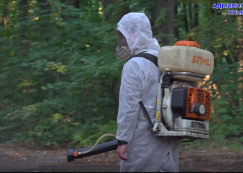 В Ульяновске борются со второй волной активности клещей