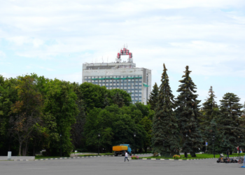 В Ульяновске впервые за 40 лет проводят полную инвентаризацию зелёных насаждений