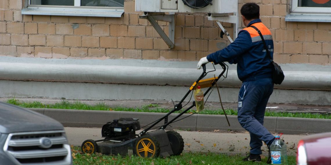 Ульяновский предприниматель попал в «чёрный список» из-за травы