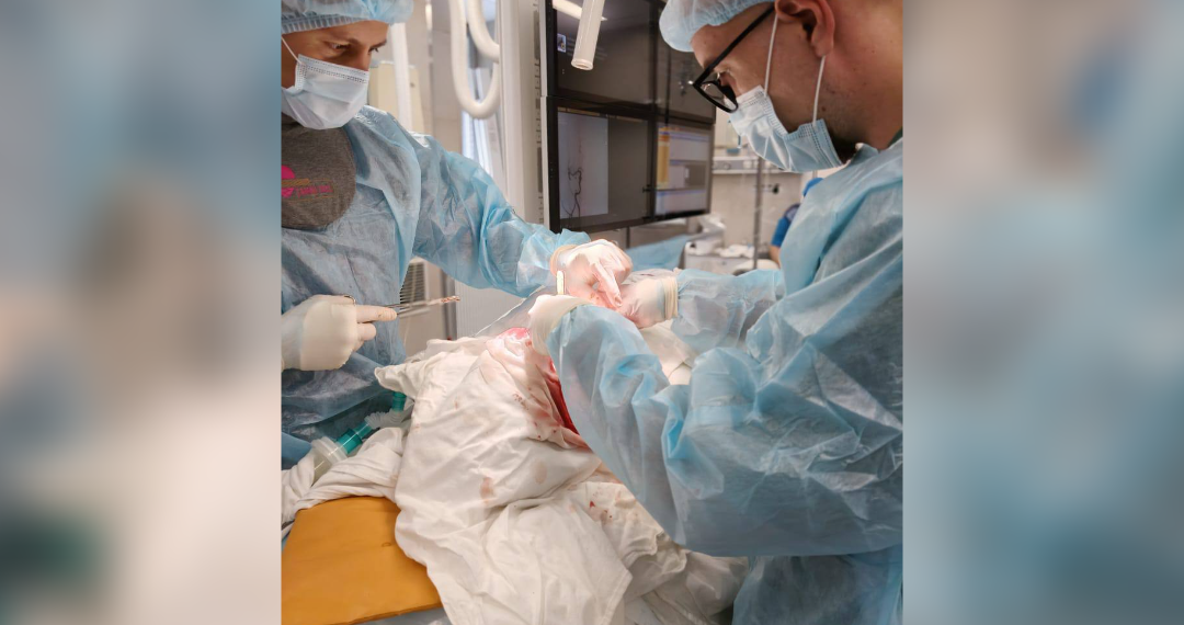 Ульяновские хирурги преодолели анатомические аномалии и спали 94-летнюю женщину