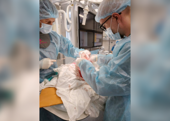 Ульяновские хирурги преодолели анатомические аномалии и спали 94-летнюю женщину