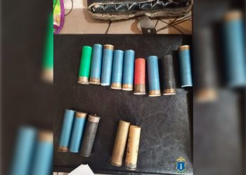 В Ульяновской области бывший охотник забыл сдать патроны