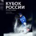 Ульяновск готовится к первому этапу Кубка России по хоккею с мячом