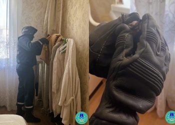 Ульяновцев с улицы Панорамной перепугала залетевшая в квартиру летучая мышь