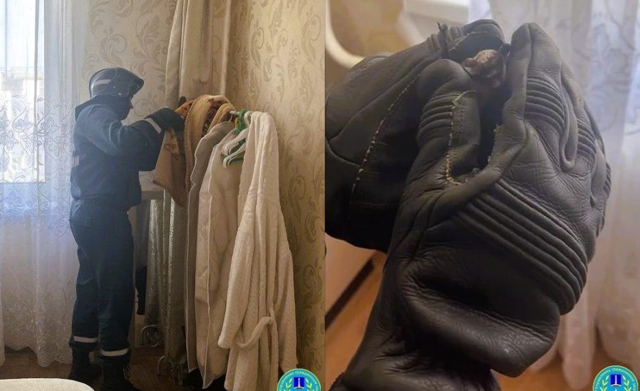 Ульяновцев с улицы Панорамной перепугала залетевшая в квартиру летучая мышь