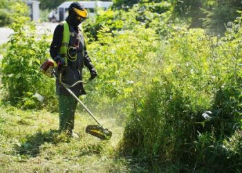 Засвияжских предпринимателей накажут рублём за траву и мусор