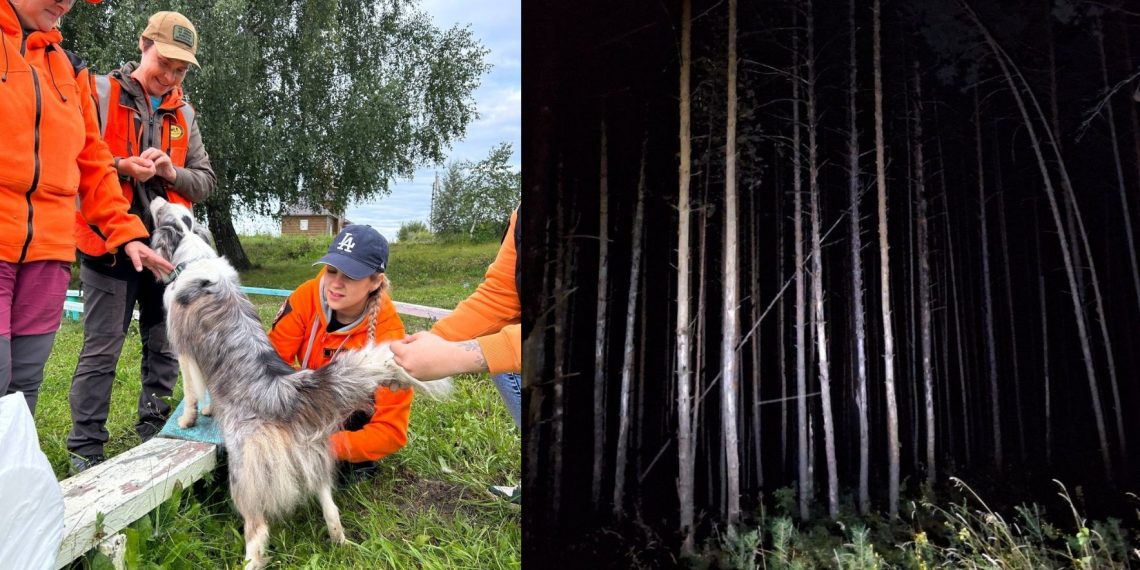 Как волонтёры и жители всю ночь искали 12-летнего Илью в Барышском районе