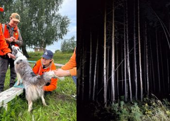 Как волонтёры и жители всю ночь искали 12-летнего Илью в Барышском районе