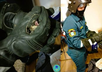 Ульяновские спасатели ловили летучую мышь в квартире на проспекте Гая