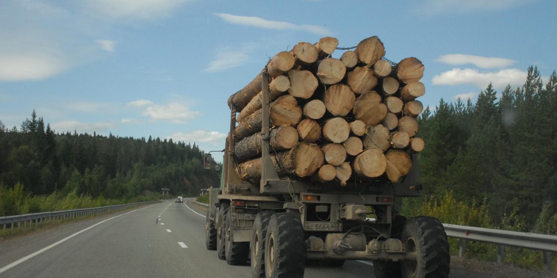 В Ульяновской области сделают акцент на глубокой переработке древесины
