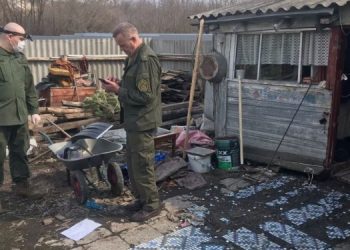 В ульяновском суде рассмотрят дело об убийстве девочки из Тумкино