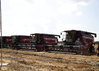 Два миллиона тонн в прицеле: Ульяновская область наращивает темпы уборочной