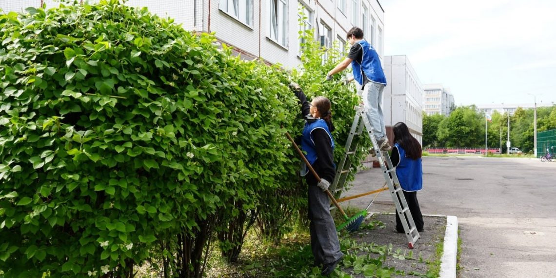 Более 2500 ульяновских подростков заработали и помогли городу