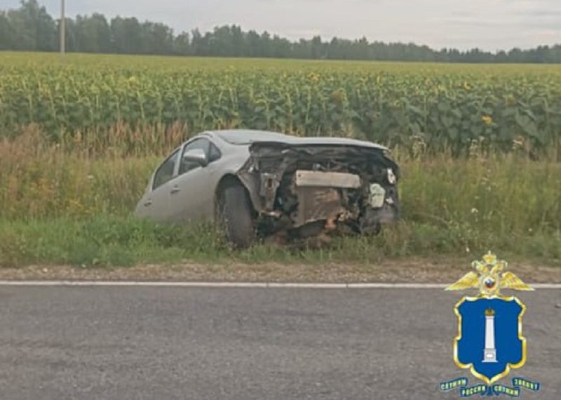 Opel Corsa с пьяным водителем улетел в кювет под Ульяновском