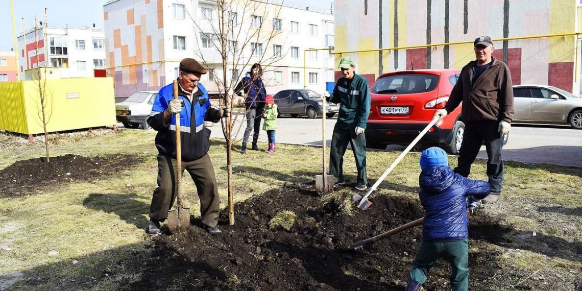 Ульяновцам дадут денег на озеленение городских дворов