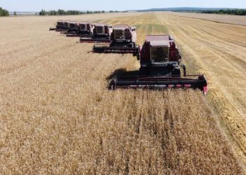 Ульяновская область близка к рекордному урожаю в 2 000 000 тонн