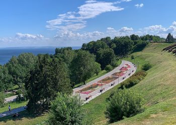 В ульяновском парке «Дружбы народов» грядёт вырубка деревьев