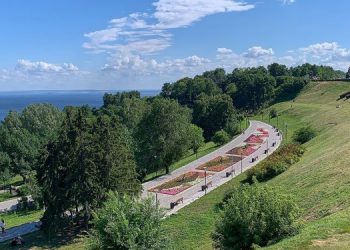 Конфликт вокруг парка Дружбы народов: экоактивистам не дали ознакомиться с планами вырубки