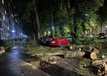 Шквалом в Ульяновске повалило 11 деревьев