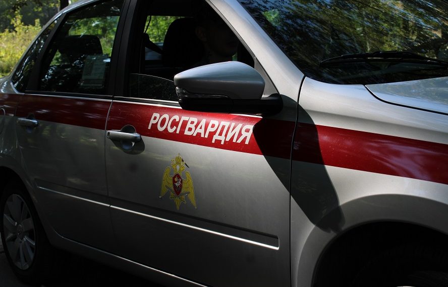 Росгвардейцы поймали воровку в ульяновском «Ашане»