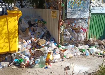 Мусорный кризис по-ульяновски: что творится на контейнерных площадках в Киндяковке