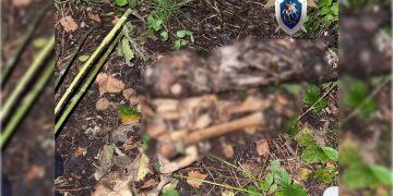 В ульяновском эко-парке «Черное Озеро» обнаружены человеческие останки