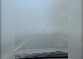 Сильный запах гари и плохая видимость: что происходит в Заволжском районе Ульяновска