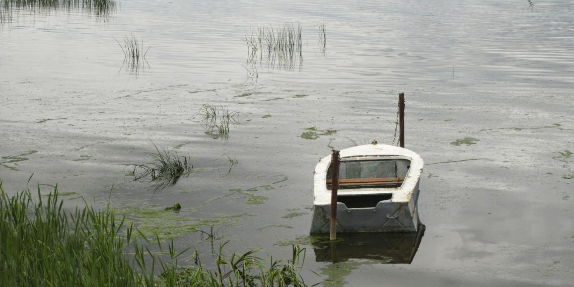 В Мелекесском районе задержали браконьера с лещами и карасями