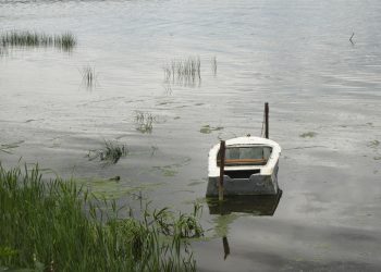 В Мелекесском районе задержали браконьера с лещами и карасями