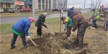 Новый сквер и мемориальная аллея: Ульяновск готовится к масштабному озеленению