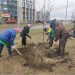 Новый сквер и мемориальная аллея: Ульяновск готовится к масштабному озеленению