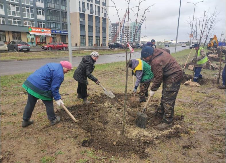 Новый сквер и мемориальная аллея: Ульяновск готовится к масштабному озеленению
