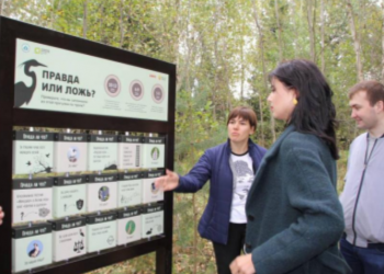 В трёх парках Ульяновска создадут сеть экологических троп