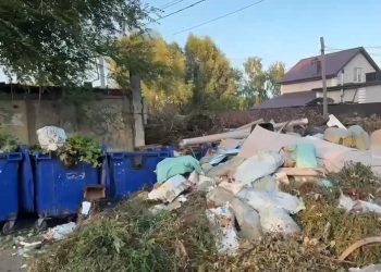 ПодОпытное поле: зелёный уголок Ульяновска рискует превратиться в свалку